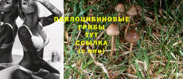 синтетический гашиш Аркадак