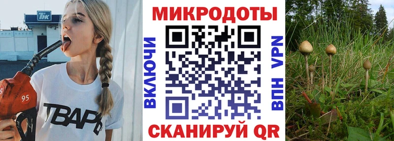 Псилоцибиновые грибы GOLDEN TEACHER  цены наркотик  Похвистнево 